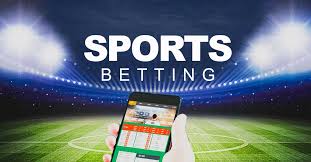 Casinos That Accept Payeer, Skrill & Revolut 26
