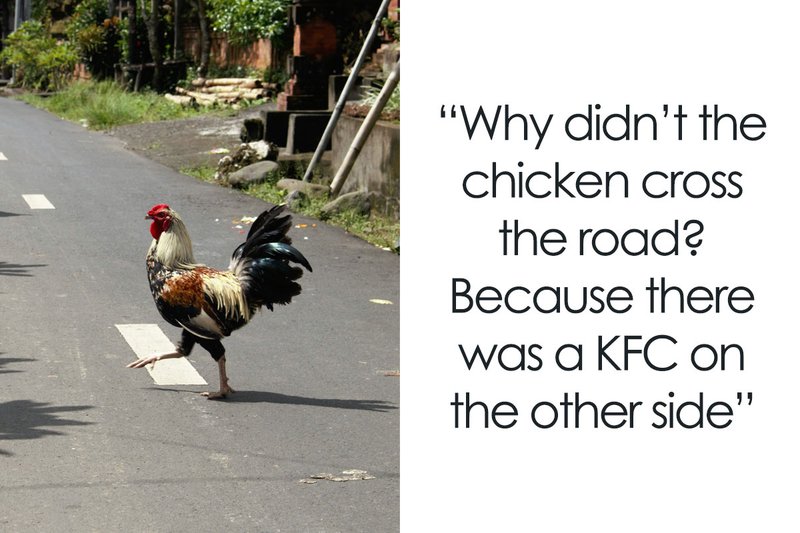 Chicken road game in Netherlands